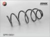 FENOX SPR19001 Coil Spring